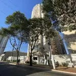 LOTE 562 - APARTAMENTO - SÃO PAULO / SP