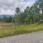 LOTE 435 - TERRENO - SANTO AMARO DA IMPERATRIZ / SC