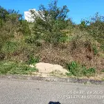 LOTE 437 - TERRENO - SAO JOSE / SC