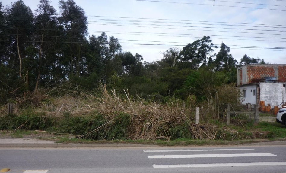 TERRENO - AV. ENGENHEIRO ILDEFONSO SIMÕES LOPES - PELOTAS - RS