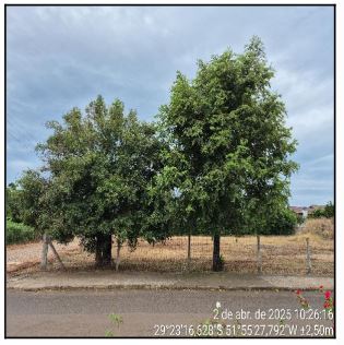 TERRENO - ARROIO DO MEIO / RS